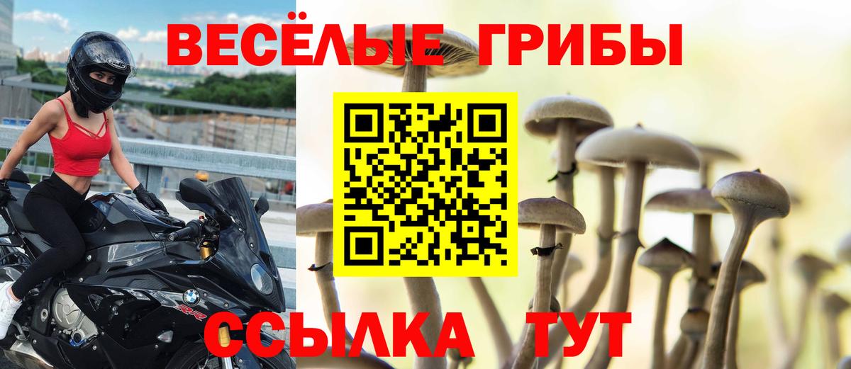 Галлюциногенные грибы Psilocybe  Вход с VPN  Галлюциногенные грибы мухоморы  Воткинск 